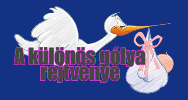 gólya rejtvény
