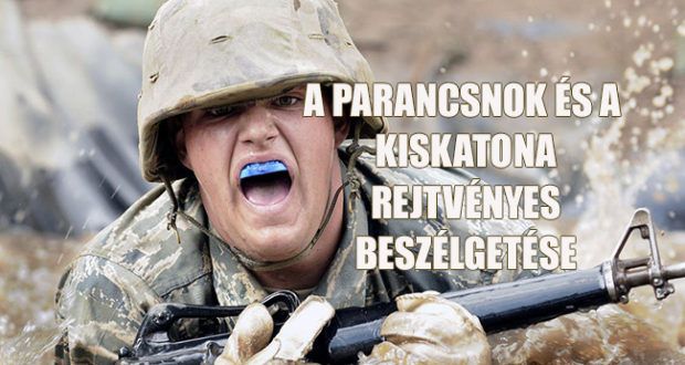 kiskatona keresztrejtvény