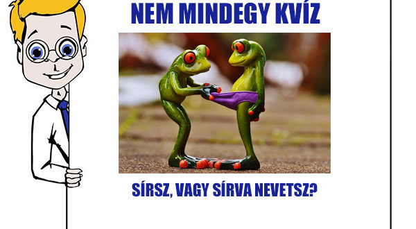 nem mindegy kvíz