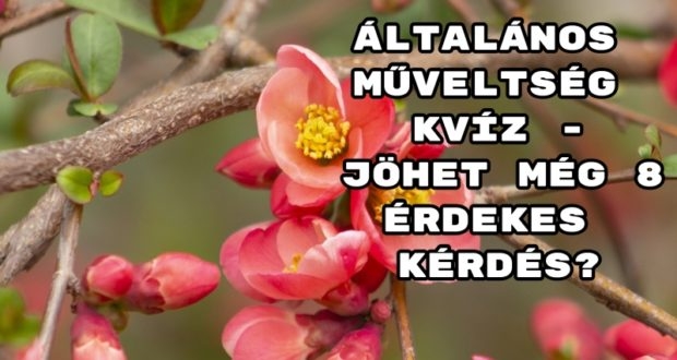 Általános-műveltség-kvíz-jöhet-még-8-érdekes-kérdés_-620x330