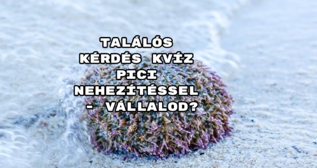 Talalos Kerdes Kviz Pici Nehezitessel Vallalod1 Fejtsd Meg Most Kvizek Vicces Fejtorok