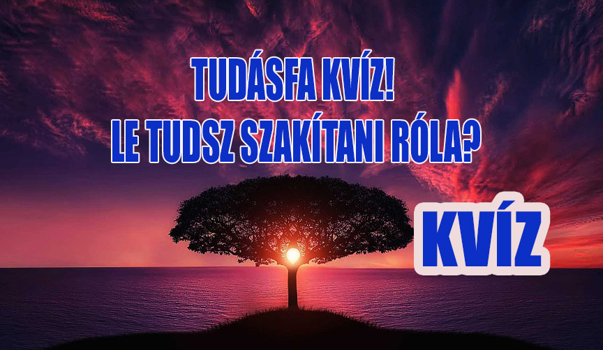 tudásfa kvíz