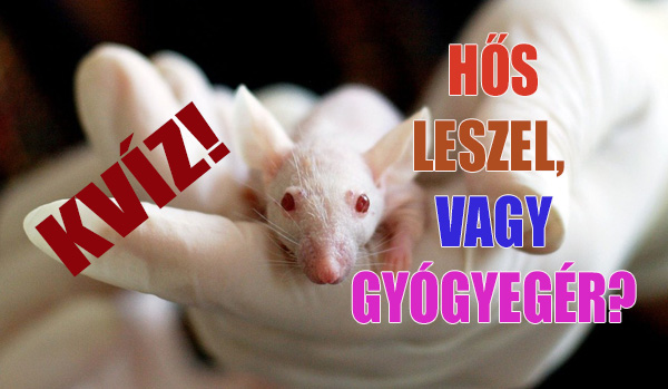 Egerek szaga a szájból, Tabutéma: a rossz szájszag | TermészetGyógyász Magazin
