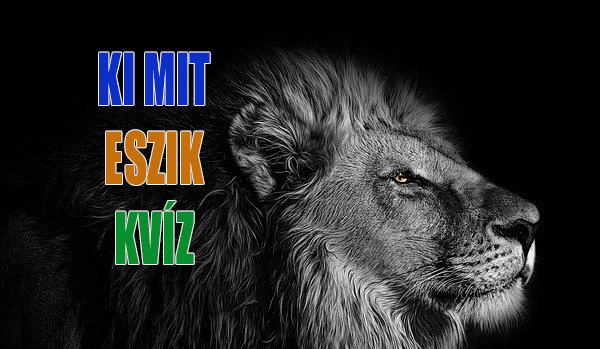 Ki mit eszik kvíz! Kerüljük el a sárkányokat? - Fejtsd meg most! Kvízek ...